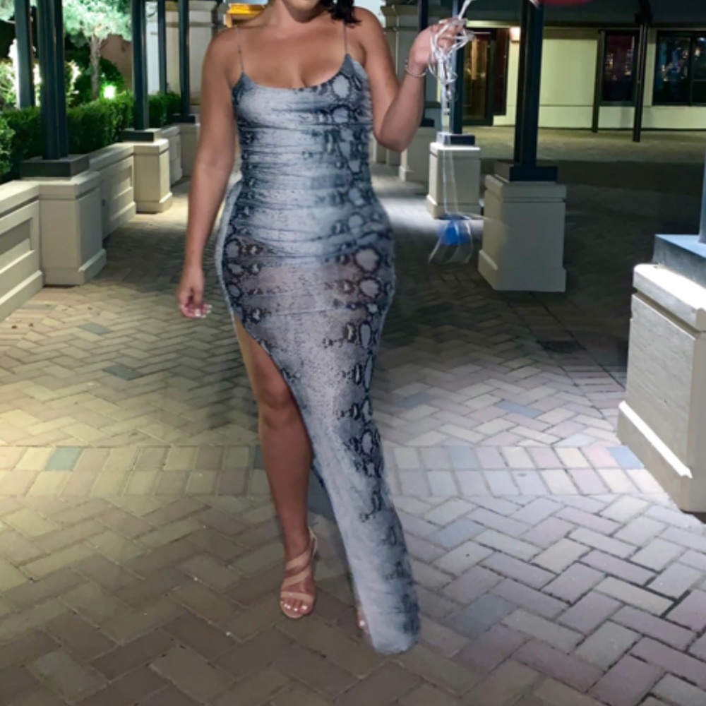 Long Sheer Snakeskin Dress